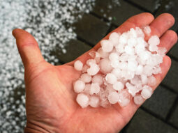 Hail damage to roof